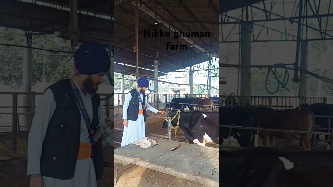 #akaliravindersinghkhalsa