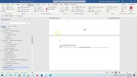 Insert Appendix Title