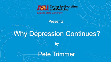 Why Depression Continues | Pete Trimmer