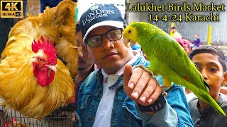 Lalukhet Exotic Birds Market 14-4-2024 Karachi | Unique Birds and Parrots | पक्षी और तोता बाज़ार by Jamshed Asmi Informative Channel 26,882 views 3 weeks ago 33 minutes