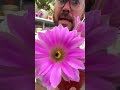 #plantfluencer #plantas #cactus #cactaceae #jardinería #jardin #flores