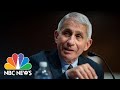 Anthony Fauci Says Coronavirus Vaccine Will Be Proven Effective Or Not By 2021 | NBC News NOW
