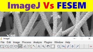 ImageJ: How To Find The Diameter Of Nanofiber Using ImageJ Software?