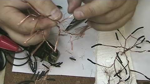 Tree Jam-Boree: Part 2