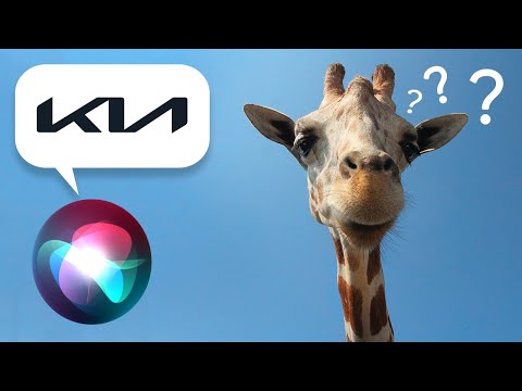 What Is The Full Form Of Kn Car