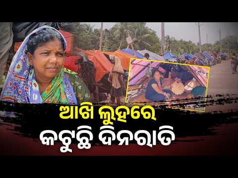 Special Story: ଘରୁ ବେସାହାରା କରି ନଦୀବନ୍ଧ ଉପରେ ଛାଡ଼ି ଦେଲା।Baitarani Flood Worsens in Jajpur