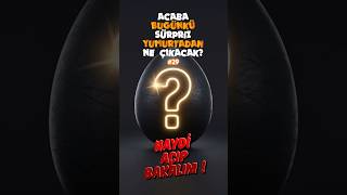 Sürpriz Yumurta Açıyoruz