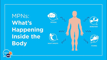MYELOPROLIFERATIVE NEOPLASMS: What’s happening inside the body