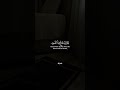 ﴿أَلَمْ يَرَوْا أَنَّا جَعَلْنَا ٱلَّيْلَ لِيَسْكُنُوا فِيهِ﴾ياسر الدوسري
