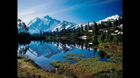 سورة النبأ بصوت القارئ محمد المزين