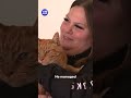 Missing cat reunites with owner after 11 years | 9 News Australia