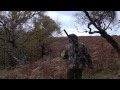 The Shooting Show news on 2 September 2013 - Scottish deer, CPSA articles, and the face of FACE