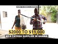 How to make a revenue of $2000 to $11,000 as a Catfish supplier in Ghana