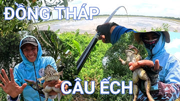 Chuyến câu gặp toàn hàng khủng tại Tân Công Sính-Đồng Tháp || Câu ếch mùa nước nổi (Tập 13)
