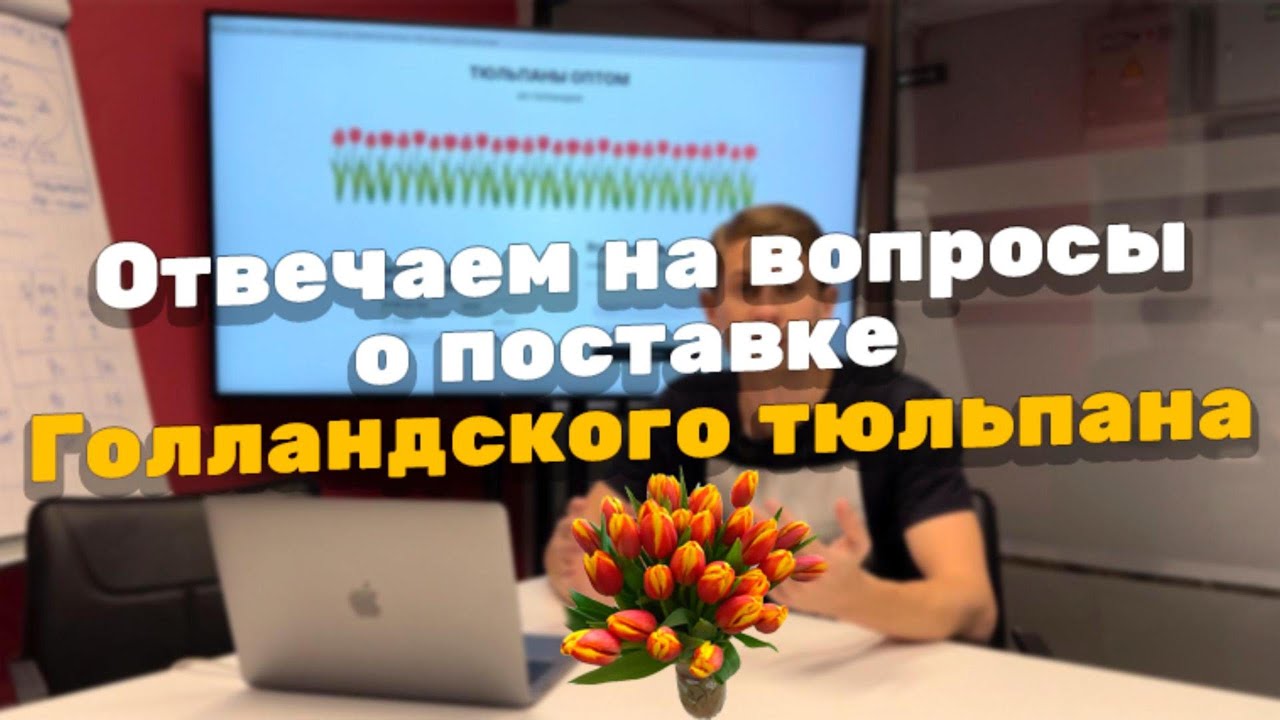 Как и где купить голландский тюльпан оптом?