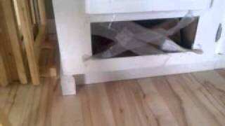 Ferret Funny