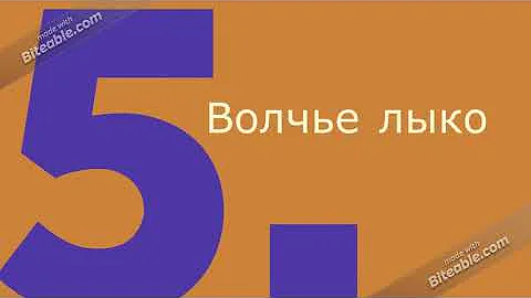 Красная книга растений Тюменской области