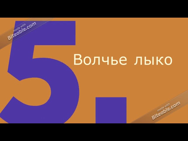 Красная книга растений Тюменской области