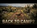 [ASMR] Desert Journey Back to Camp: Sagebrush Trails, Songbirds, and Rushing Creeks 🥾🐶