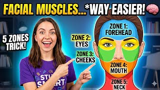 Facial Muscles: 5 Zone Trick + MCQs | Prometric Exam Prep