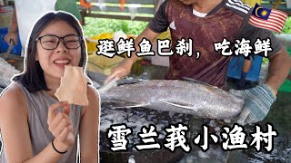 【环马+泰南摩旅 Ep.05】逛鲜鱼巴刹，吃海鲜，雪州巴西不南邦渔村风情 Pasir Penanbang Fishing Village