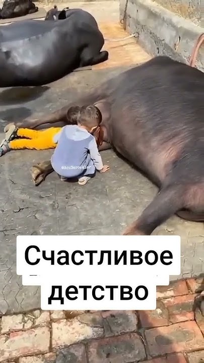 Вкусное молоко - YouTube