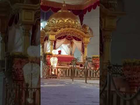 GURUNANAK DARBAR, DUBAI | Gurdwara Nanak Darbar Dubai | Sikh Temple Dubai #shorts