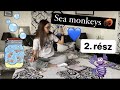 Sea monkeys 2.rész🦐❤️‍🔥