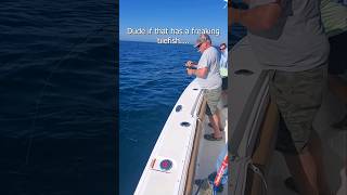 Battling HAMMER tilefish jigging light spinning gear #shorts #shortvideo #short