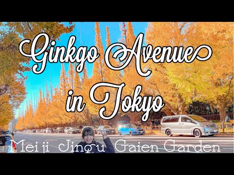 Best Autumn Spot in Tokyo | Meiji Jingu Gaien Ginkgo Avenue