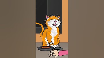 I am Cat Adventure @newfoldergames #iamcat #sponsored #ad