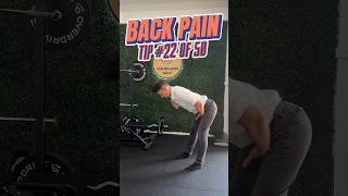 22. Try to Master the Hip Hinge! #backpaintips