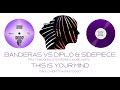 BANDERAS VS DIPLO & SIDEPIECE THIS IS YOUR LIFE ON MY MIND PURPLE DISCO MACHINE   PAOLO MONTI MASHUP