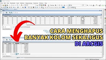 Cara Menghapus Banyak Kolom Sekaligus Pada Atribut Tabel Data Spasial di ArcGIS
