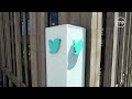 Elon Musk bricht Twitter-Übernahme ab