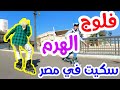فلوج الهرم الجزء الاول مع اسلام سوي سكيت في مصر Skate In Egypt