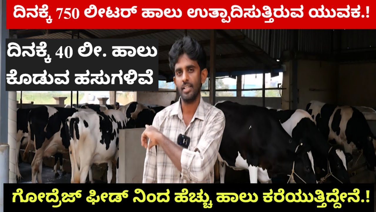ದಿನಕ್ಕೆ 750 ಲೀಟರ್ ಹಾಲು ಉತ್ಪಾದಿಸುತ್ತಿರುವ ಯುವಕ.! ಗೋದ್ರೆಜ್ ಫೀಡ್ ನಿಂದ ಹೆಚ್ಚು ಹಾಲು ಕರೆಯುತ್ತಿದ್ದೇನೆ.!