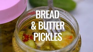 Bread and Butter Pickles