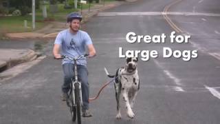 bike tow leash australia