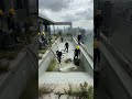 Rescuing The World Most Expensive Abandoned Rooftop Pool 😱 #beforeandafter #restoration #satisfying