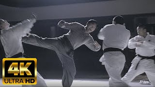 1 VS 3 Ip Man 2008 2160p 4K BluRay