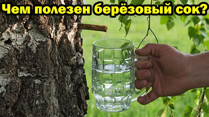 В чём польза берёзового сока для организма человека?