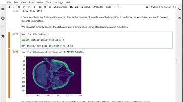 Binder interactive Jupyter Notebook