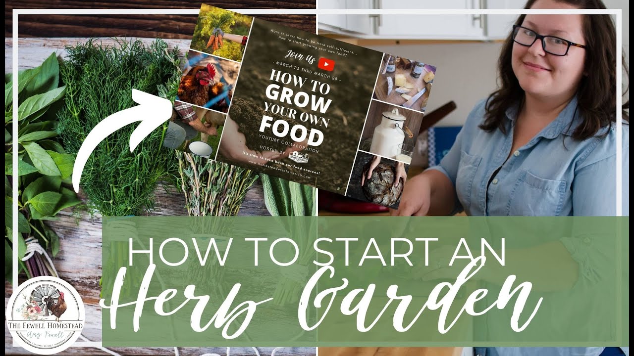 How to Start an Herb Garden | Grow Your Own Food Series - YouTube
