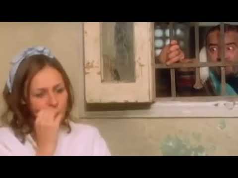  صعوبة الترجمه مع محمد سعد