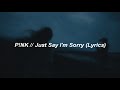 P!NK - Just Say I&#39;m Sorry ft. Chris Stapleton (Lyrics)