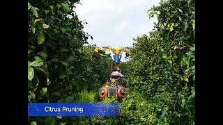 Pruning machine BGP 4000 DV