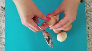 How to Peel a Hard Boiled Egg with a Spoon screenshot 3