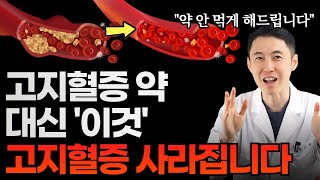 약없이 죽어가던 혈관 살리는 방법. 고지혈증 싹 사라집니다