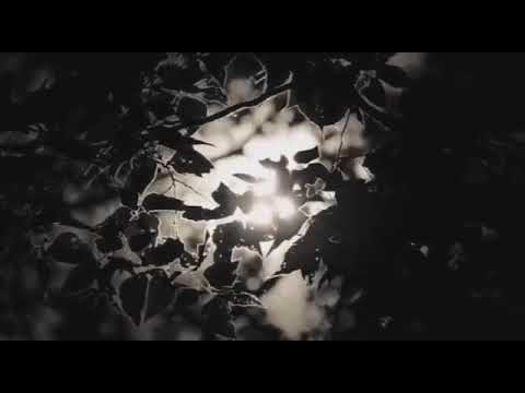 لماذا تركت الحصان وحيدا